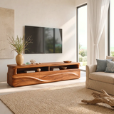 Modern Organic TV Stand with Sculpted Cabinets | Open Display Media Console TT006-5EKO4LA