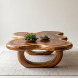 Modern Organic Wood Coffee Table with Freeform Top & Sculptural Base TT006-8349