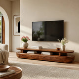Organic Modern TV Stand with Open Shelf & 2 Drawers | Modern Media Console TT006-1JRE9PZ