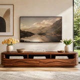 Organic Modern TV Stand with Open Shelves & 2 Drawers | Modern Media Console TT006-6HLG3MY
