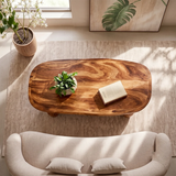 Oval Solid Wood Coffee Table with Storage Shelf | Mid Century Modern Living Room Table TT006-9169