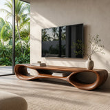 Organic Modern Sculptural TV Stand with Open Storage | Designer Media Console TT006-2PFI5LK