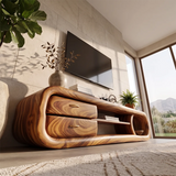 Organic Modern TV Stand with Sculptural Frame & Storage Drawers | Designer Media Console TH003-6JMS7OZ