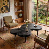 Freeform Coffee Table with Organic Shape | Sculptural Modern Living Room Center Table