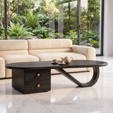 Modern Oval Coffee Table with Storage Drawers | Sculptural Contemporary Center Table for Living Room TH003-5102