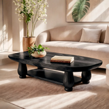 Oval Solid Wood Coffee Table with Storage Shelf | Mid Century Modern Living Room Table TT006-9169