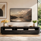 Organic Modern TV Stand with Open Shelves & 2 Drawers | Modern Media Console TT006-6HLG3MY