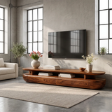 Organic Modern TV Stand with Open Shelf & 2 Drawers | Modern Media Console TT006-1JRE9PZ