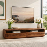 Modern TV Stand with Open Shelf & 2 Large Drawers | Minimalist Media Console TT006-2PMS8ZG