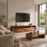Modern Organic TV Stand with Sculpted Cabinets | Open Media Console TT006-8LGO4IB