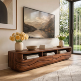 Organic Modern TV Stand with Open Shelves & 2 Drawers | Modern Media Console TT006-6HLG3MY