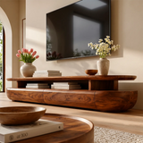 Organic Modern TV Stand with Open Shelf & 2 Drawers | Modern Media Console TT006-1JRE9PZ