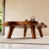 Organic Cloud Coffee Table | Modern Freeform Coffee Table for Minimalist Living Room TH003-9084
