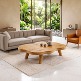 Organic Cloud Coffee Table | Modern Freeform Coffee Table for Minimalist Living Room TH003-9084