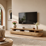 Organic Modern TV Stand with Open Shelf & 2 Drawers | Modern Media Console TT006-1JRE9PZ