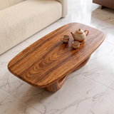 Modern Organic Coffee Table | Sculptural Rectangle Cocktail Table TH003-6677