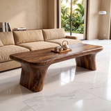 Modern Organic Coffee Table | Minimalist Sculptural Center Table for Contemporary Living Room TH003-9709