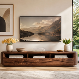 Organic Modern TV Stand with Open Shelves & 2 Drawers | Modern Media Console TT006-6HLG3MY